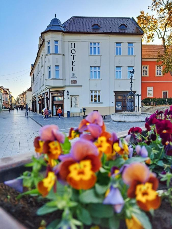 Hotel Domus Collis Дьєр Екстер'єр фото